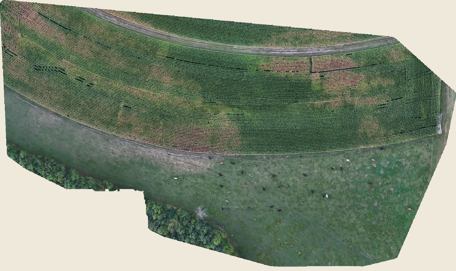 The southwest corner of H-3 from our test flight, five centimetres per pixel