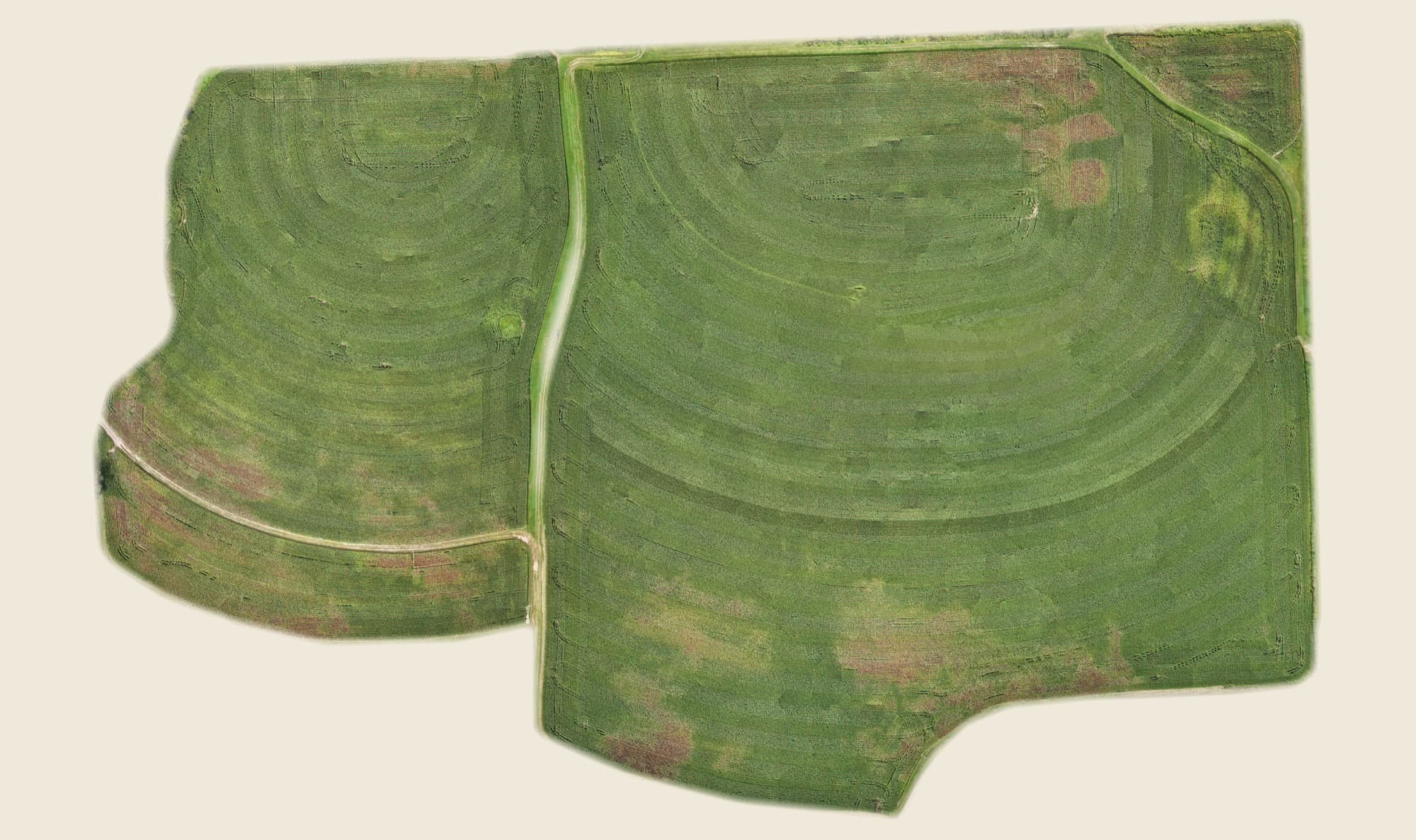 Orthomosaic of field H-3, 65.3 acres, flown 6 September 2026